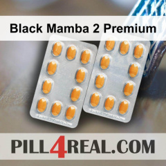 Black Mamba 2 Premium 501