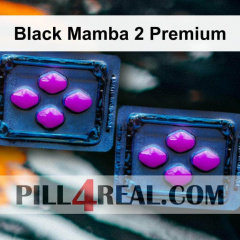 Black Mamba 2 Premium 574