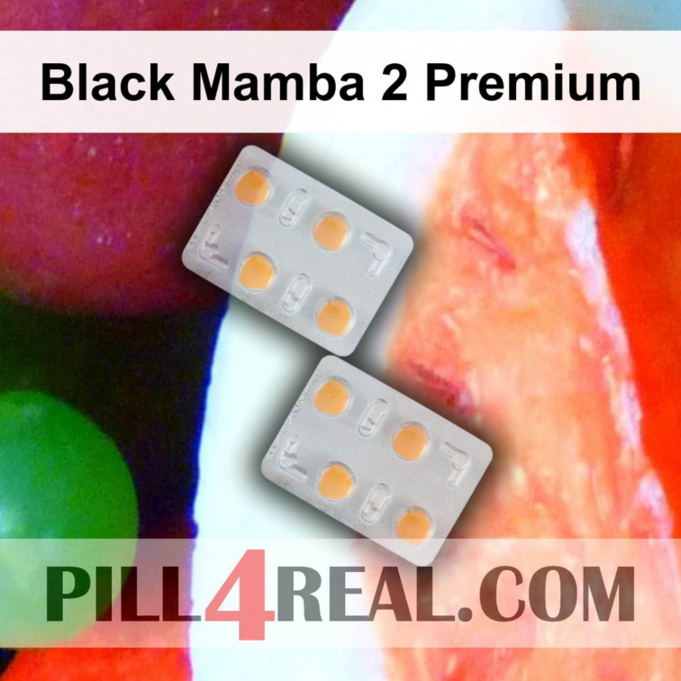 Black Mamba 2 Premium 628