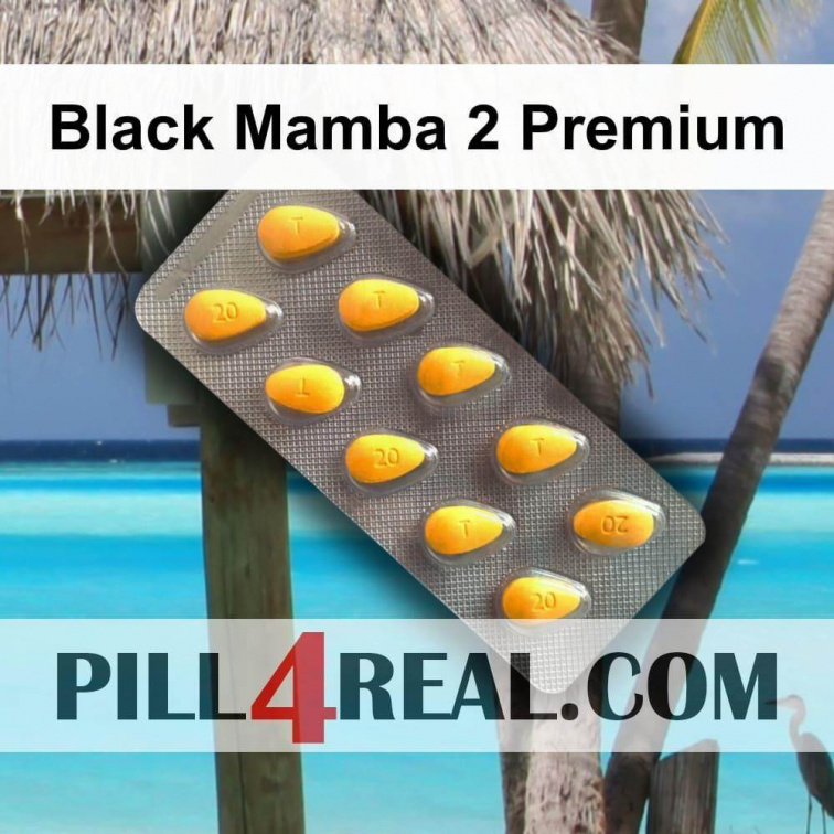 Black Mamba 2 Premium 672