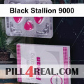 Black Stallion 9000 037
