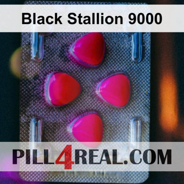 Black Stallion 9000 060