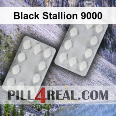 Black Stallion 9000 101