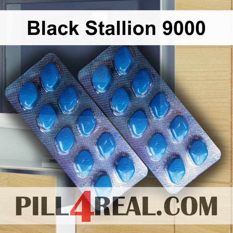 Black Stallion 9000 116