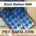 Black Stallion 9000 116