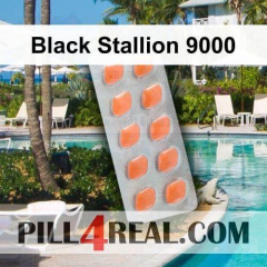 Black Stallion 9000 201