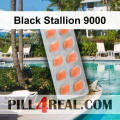 Black Stallion 9000 201