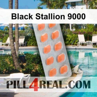 Black Stallion 9000 201