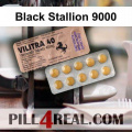 Black Stallion 9000 271