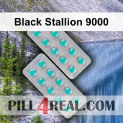 Black Stallion 9000 368