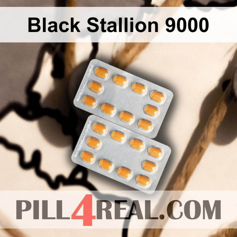 Black Stallion 9000 398