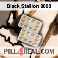 Black Stallion 9000 398