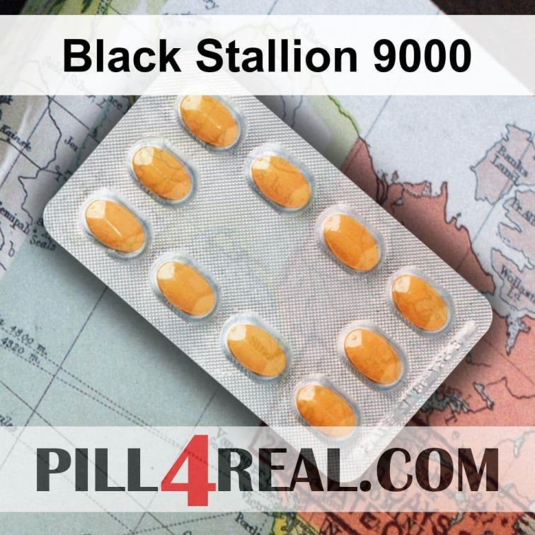 Black Stallion 9000 411