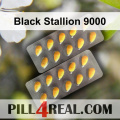 Black Stallion 9000 445