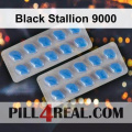 Black Stallion 9000 448