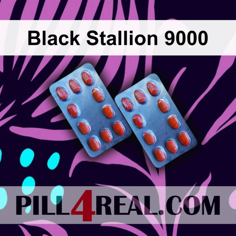 Black Stallion 9000 476