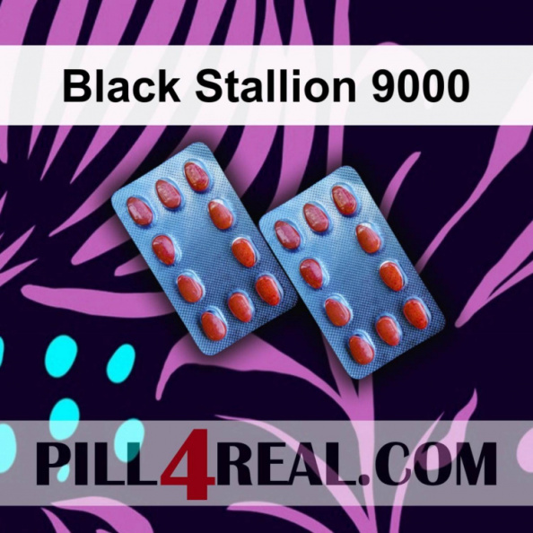 Black Stallion 9000 476