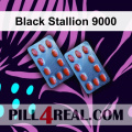 Black Stallion 9000 476