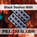 Black Stallion 9000 480
