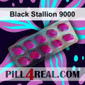 Black Stallion 9000 517