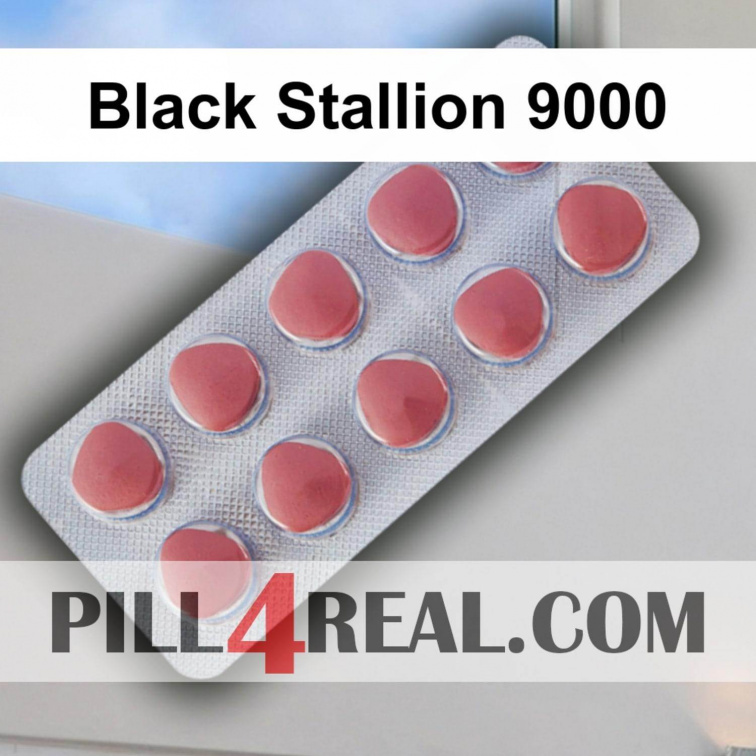 Black Stallion 9000 523