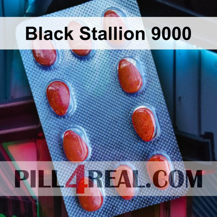 Black Stallion 9000 538