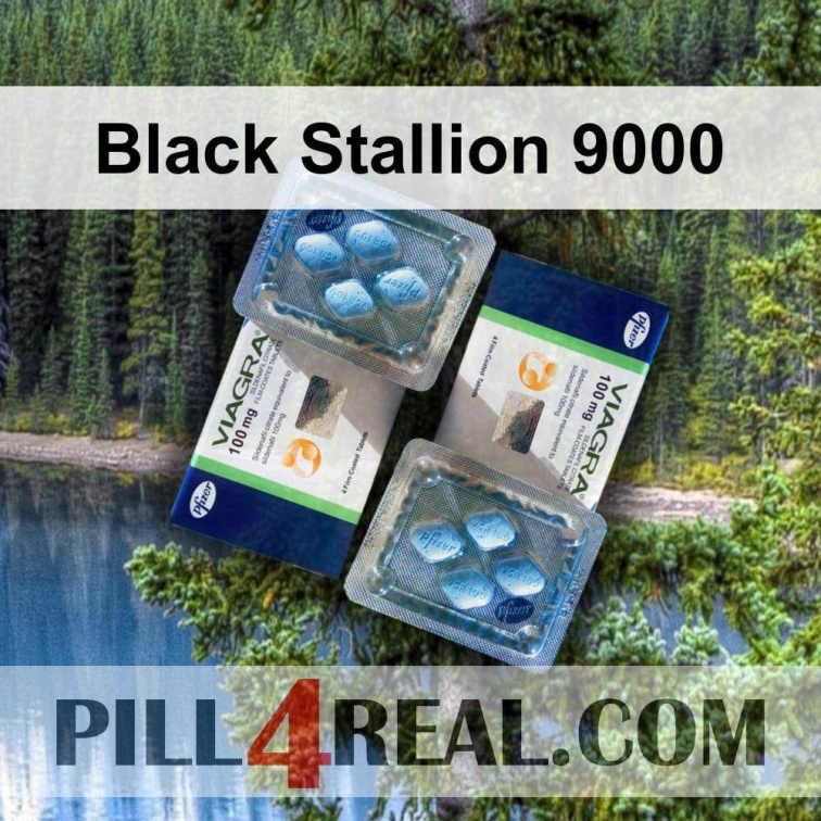 Black Stallion 9000 586