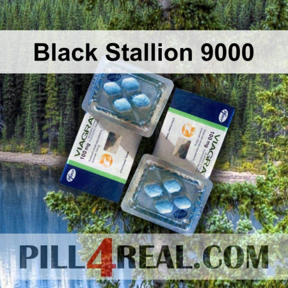 Black Stallion 9000 586