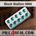 Black Stallion 9000 609