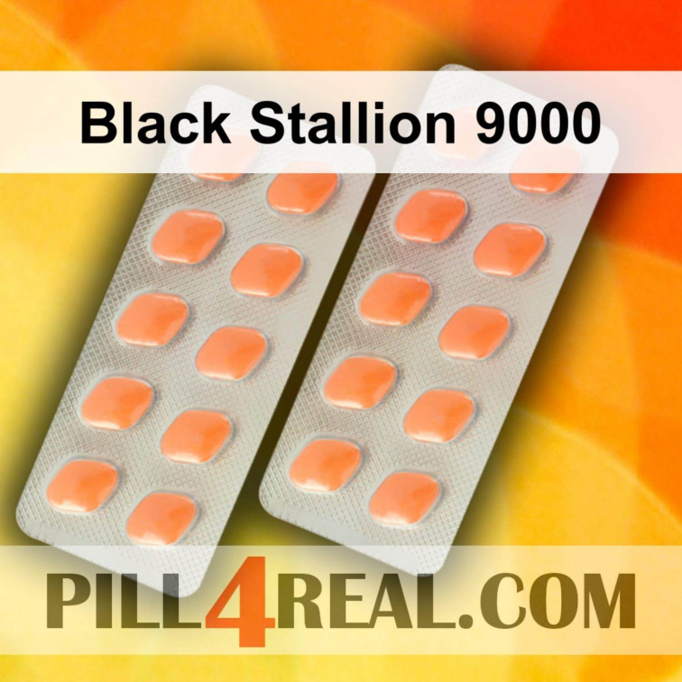 Black Stallion 9000 631