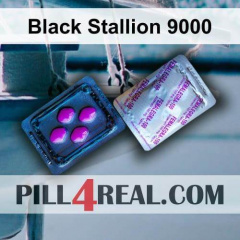 Black Stallion 9000 634