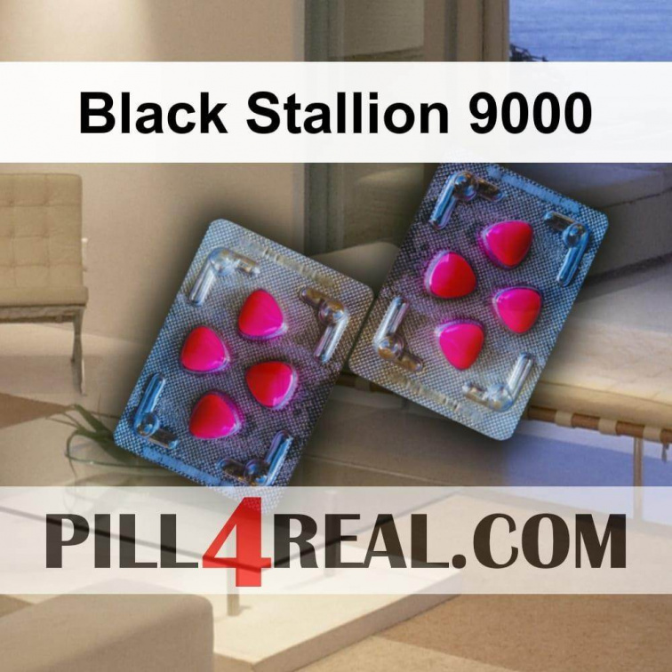 Black Stallion 9000 690