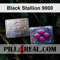 Black Stallion 9000 762