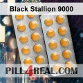 Black Stallion 9000 769