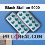 Black Stallion 9000 791
