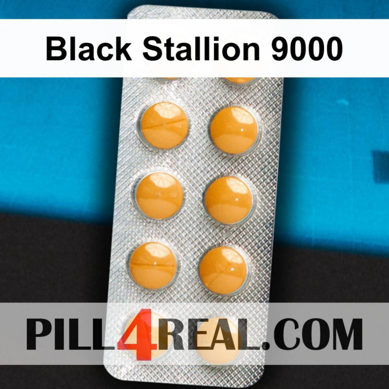 Black Stallion 9000 881