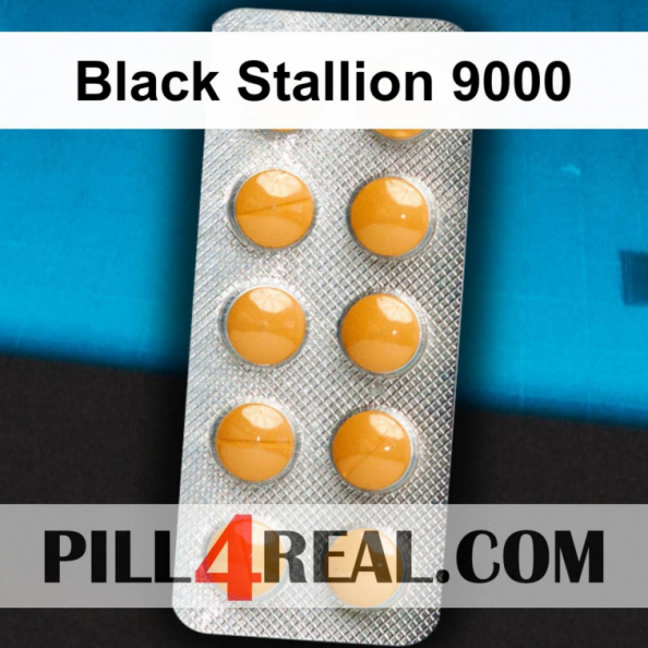 Black Stallion 9000 881