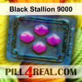 Black Stallion 9000 910