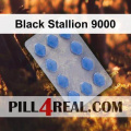 Black Stallion 9000 979