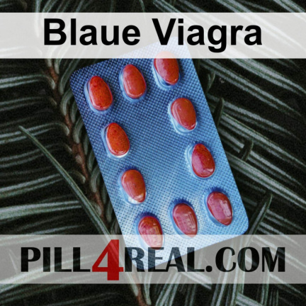 Blaue Viagra 257