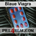 Blaue Viagra 257