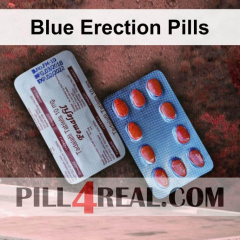 Blue Erection Pills 421