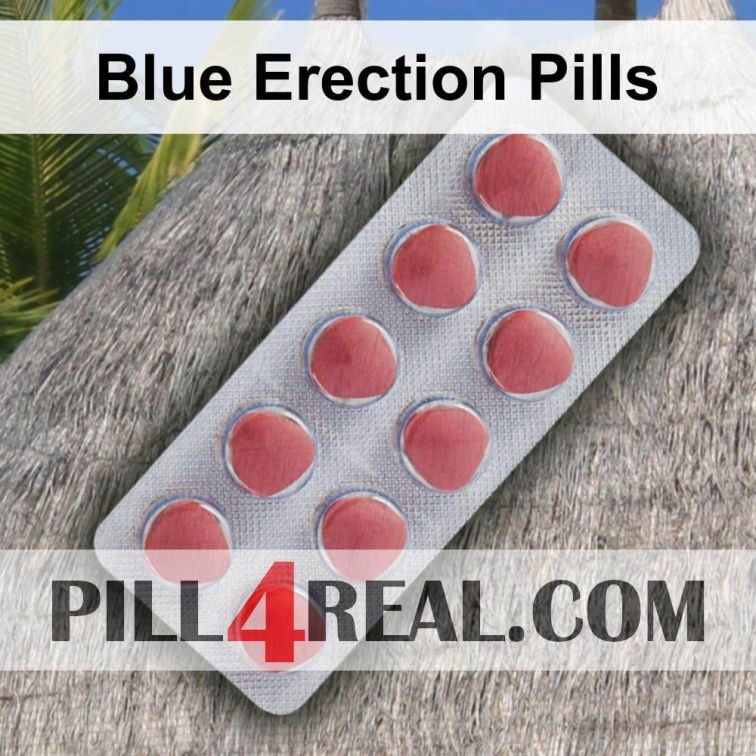 Blue Erection Pills 837