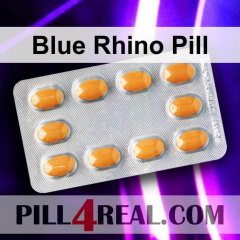 Blue Rhino Pill 504