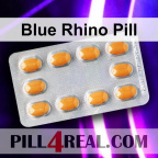 Blue Rhino Pill 504
