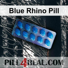 Blue Rhino Pill 824
