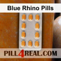 Blue Rhino Pills 024