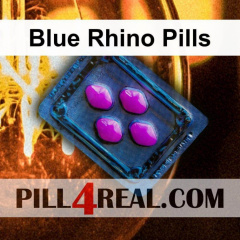 Blue Rhino Pills 305
