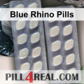 Blue Rhino Pills 407
