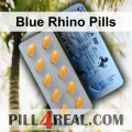 Blue Rhino Pills 522